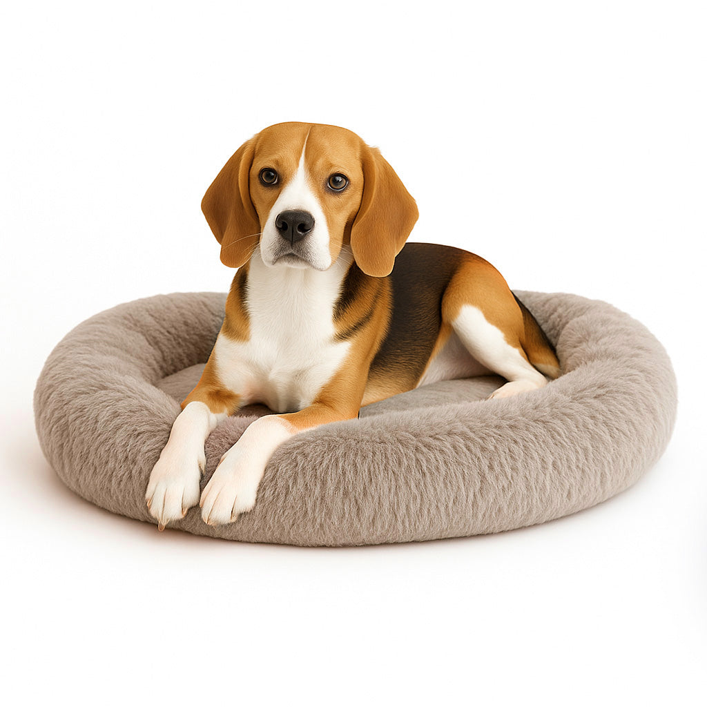 Cama para Mascotas Antiestres Redonda Esponjosa Cómoda Afelpada