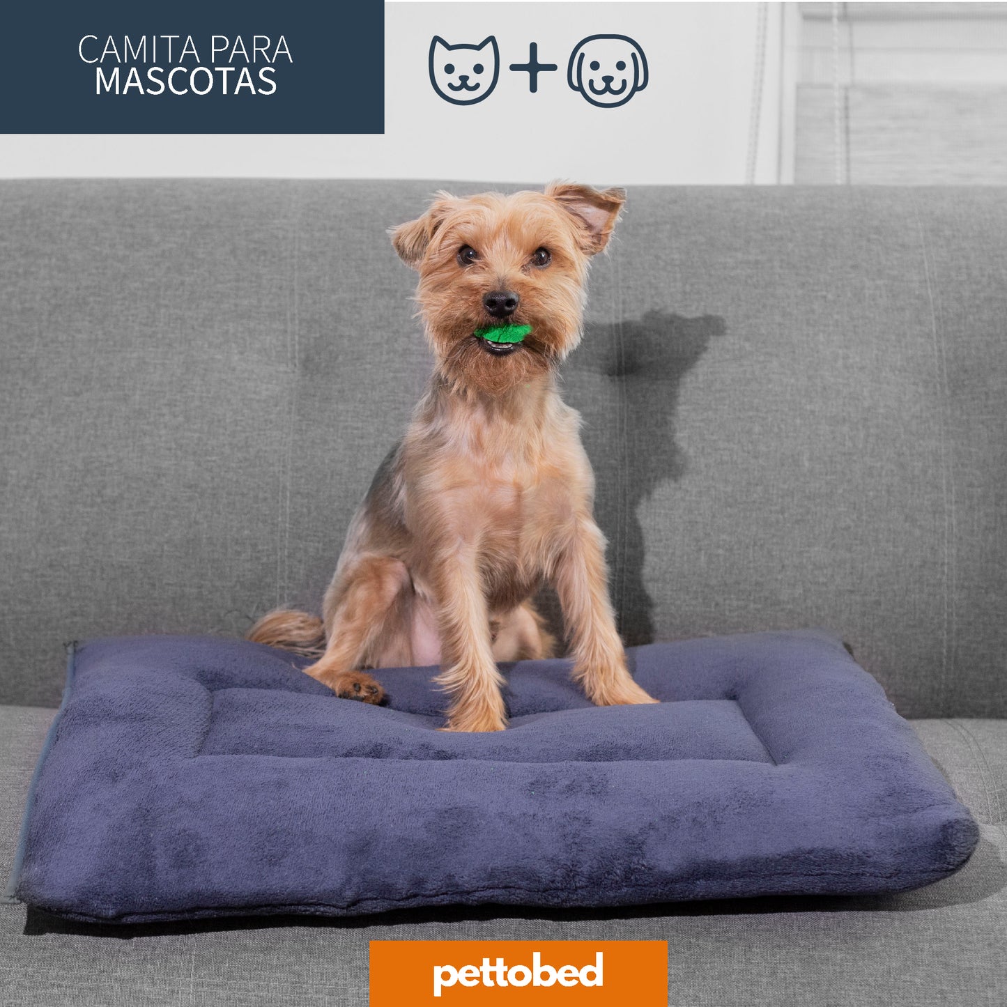 Cama para Mascotas Suave Esponjosa Acogedora Térmica Lavable