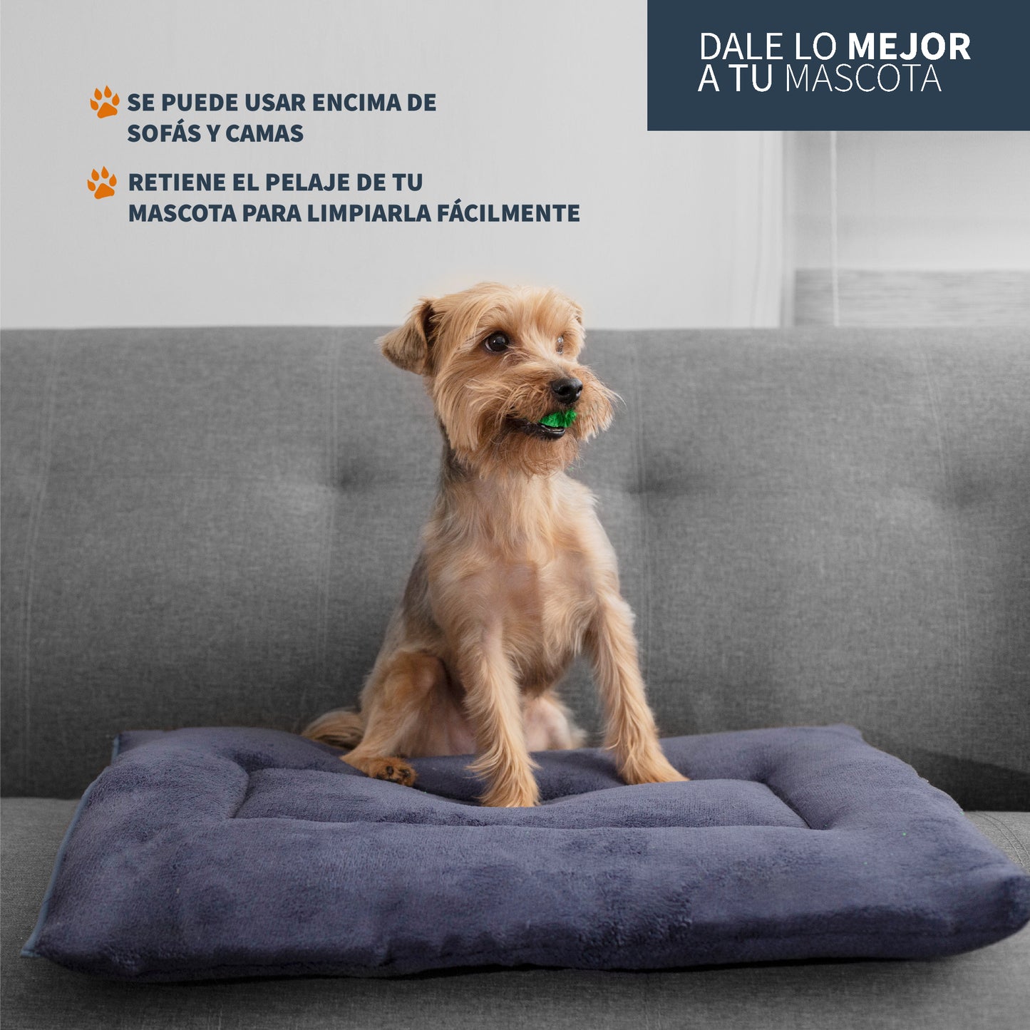 Cama para Mascotas Suave Esponjosa Acogedora Térmica Lavable