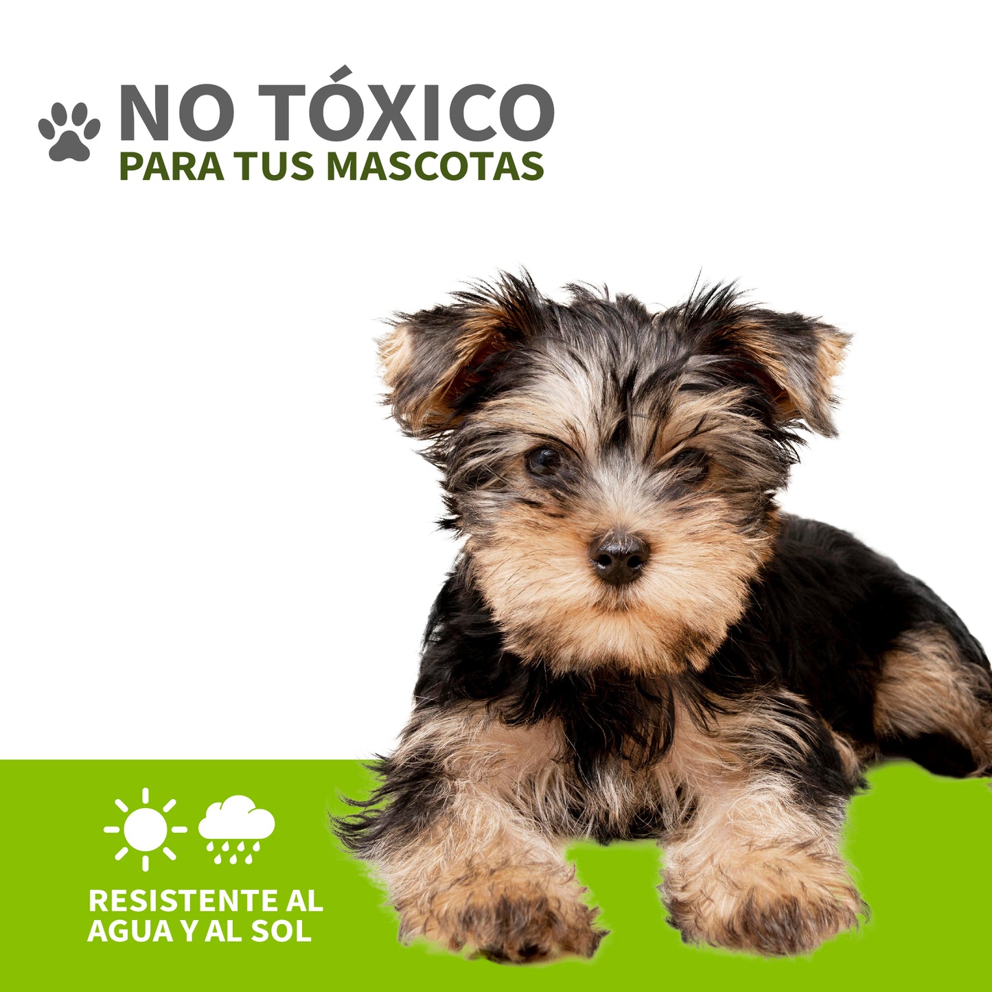 Tapete de Entrenamiento para Perro Doggie Grass con Regilla Anti Humedad Fácil Lavado Baño para Mascotas (69 x 44 cm)