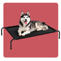 Cama Elevada para Mascotas