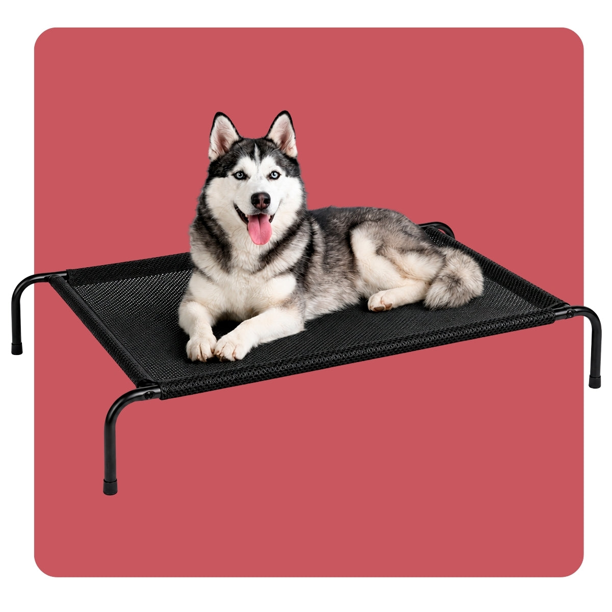 Cama Elevada para Mascotas