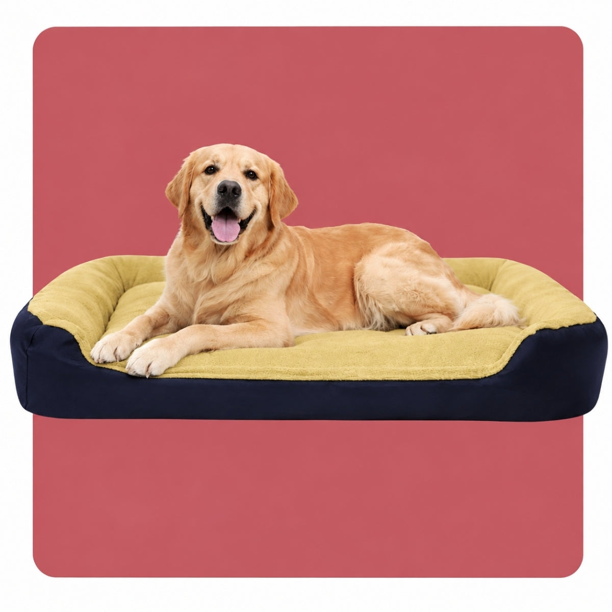 Cama para Perro Confort