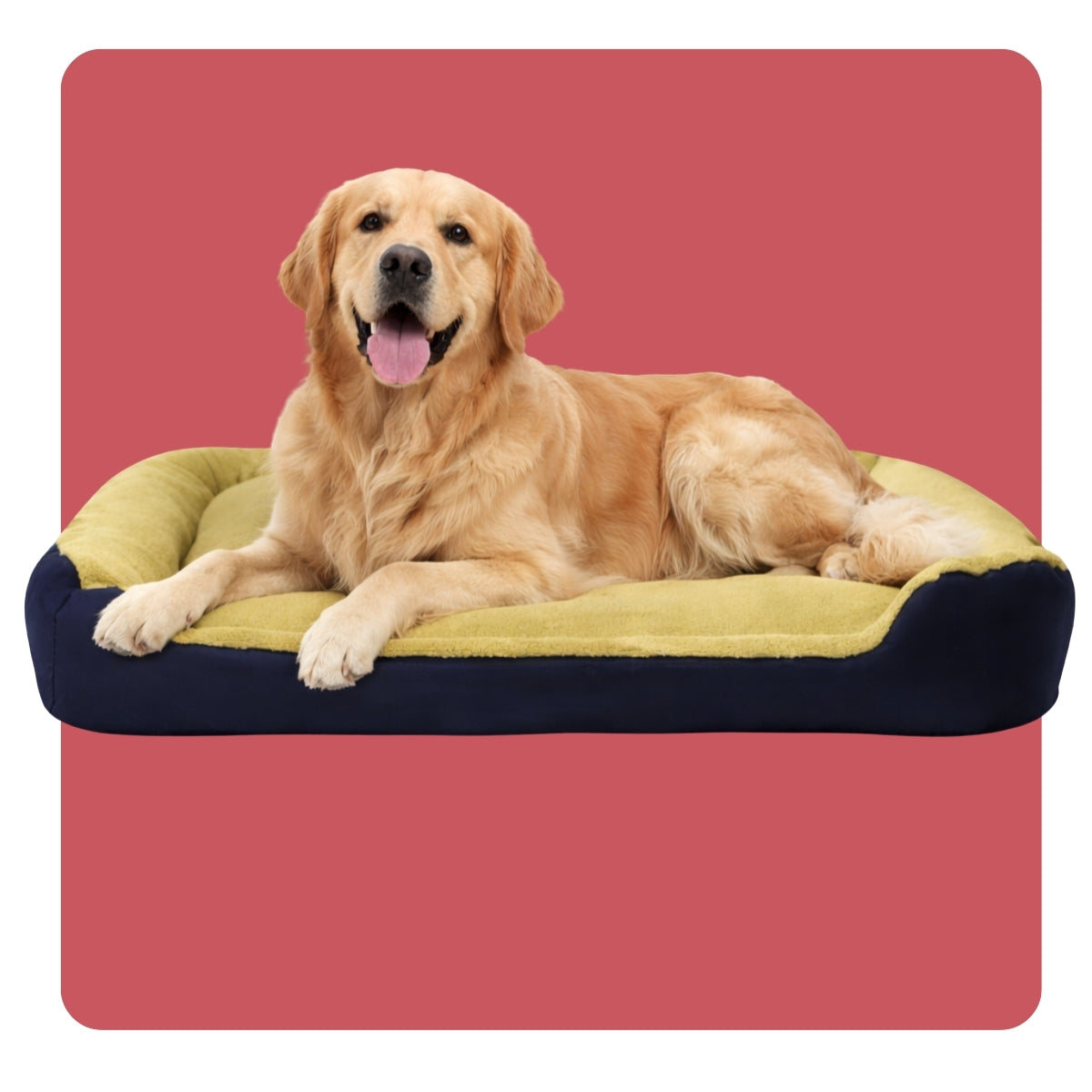 Cama para Perro Confort
