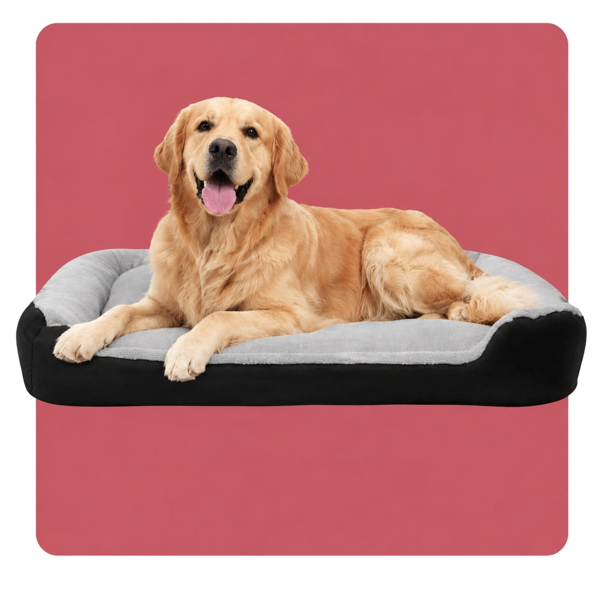 Cama para Perro Confort