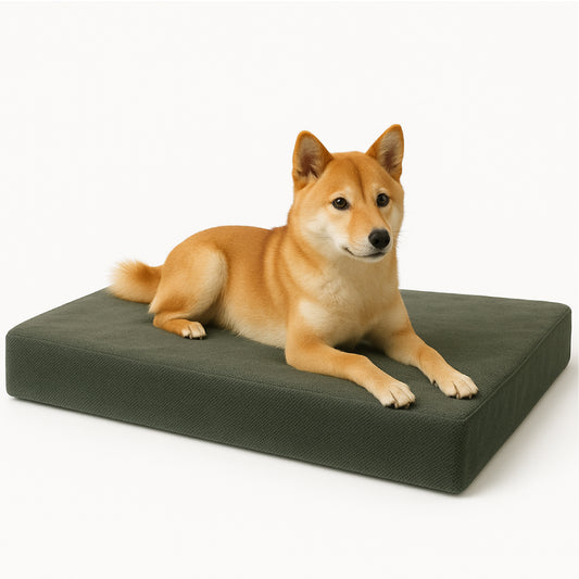 Cama Ortopédica para Perros con Funda Extraíble Espuma Ideal para Interiores o Exteriores