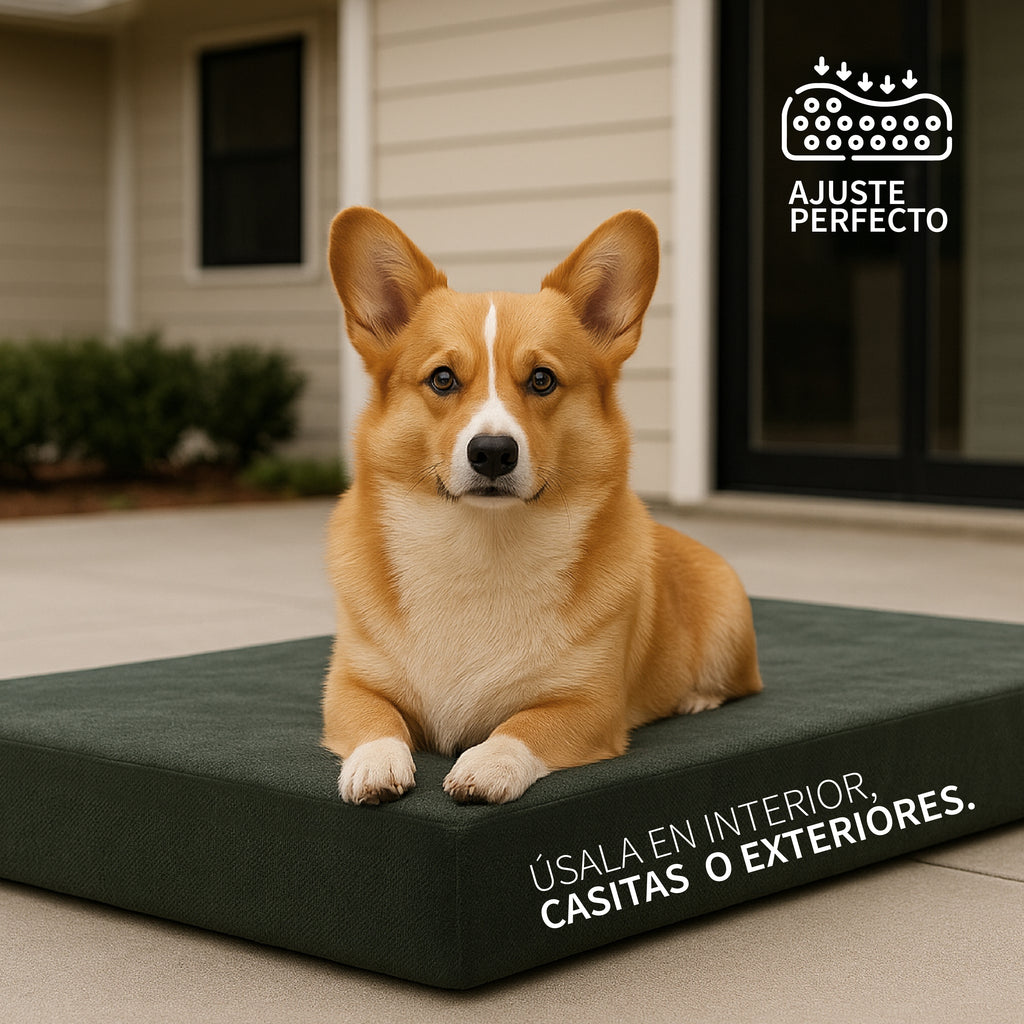 Cama Ortopédica para Mascotas