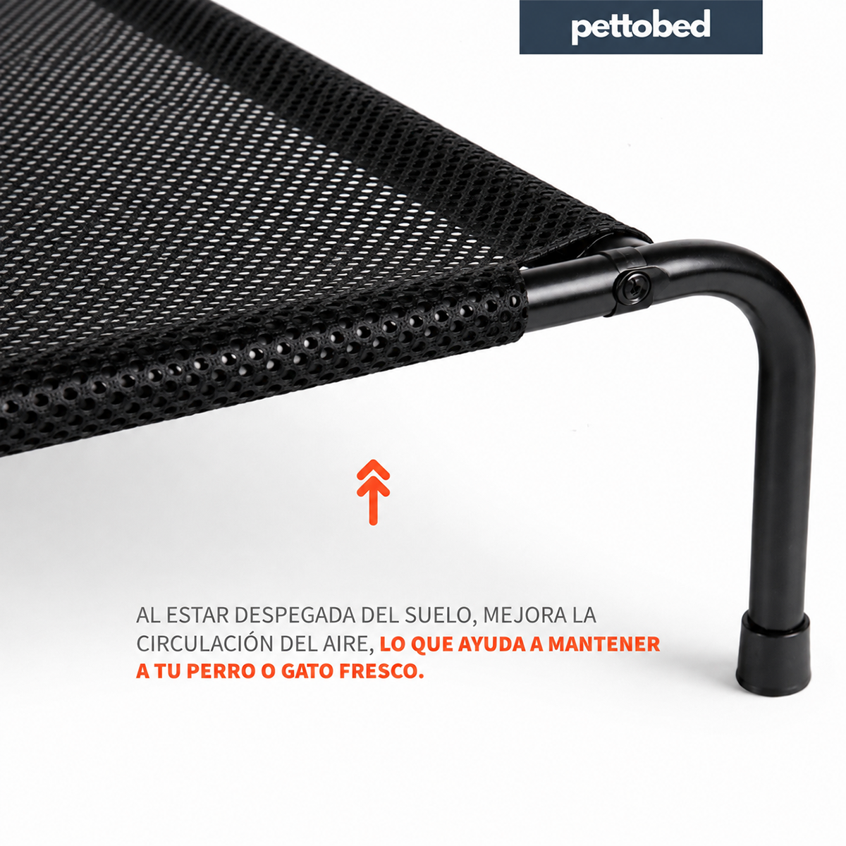 Cama Elevada para Mascotas