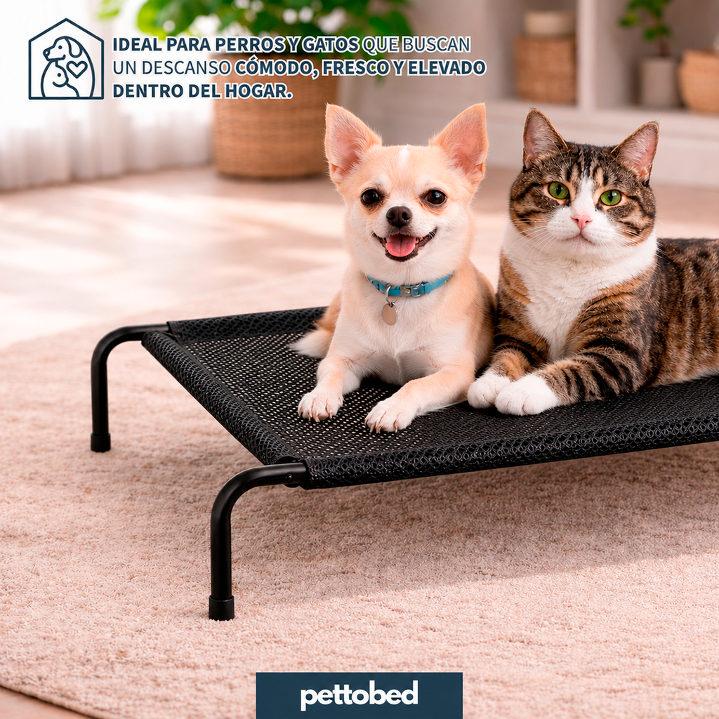 Cama Elevada para Mascotas