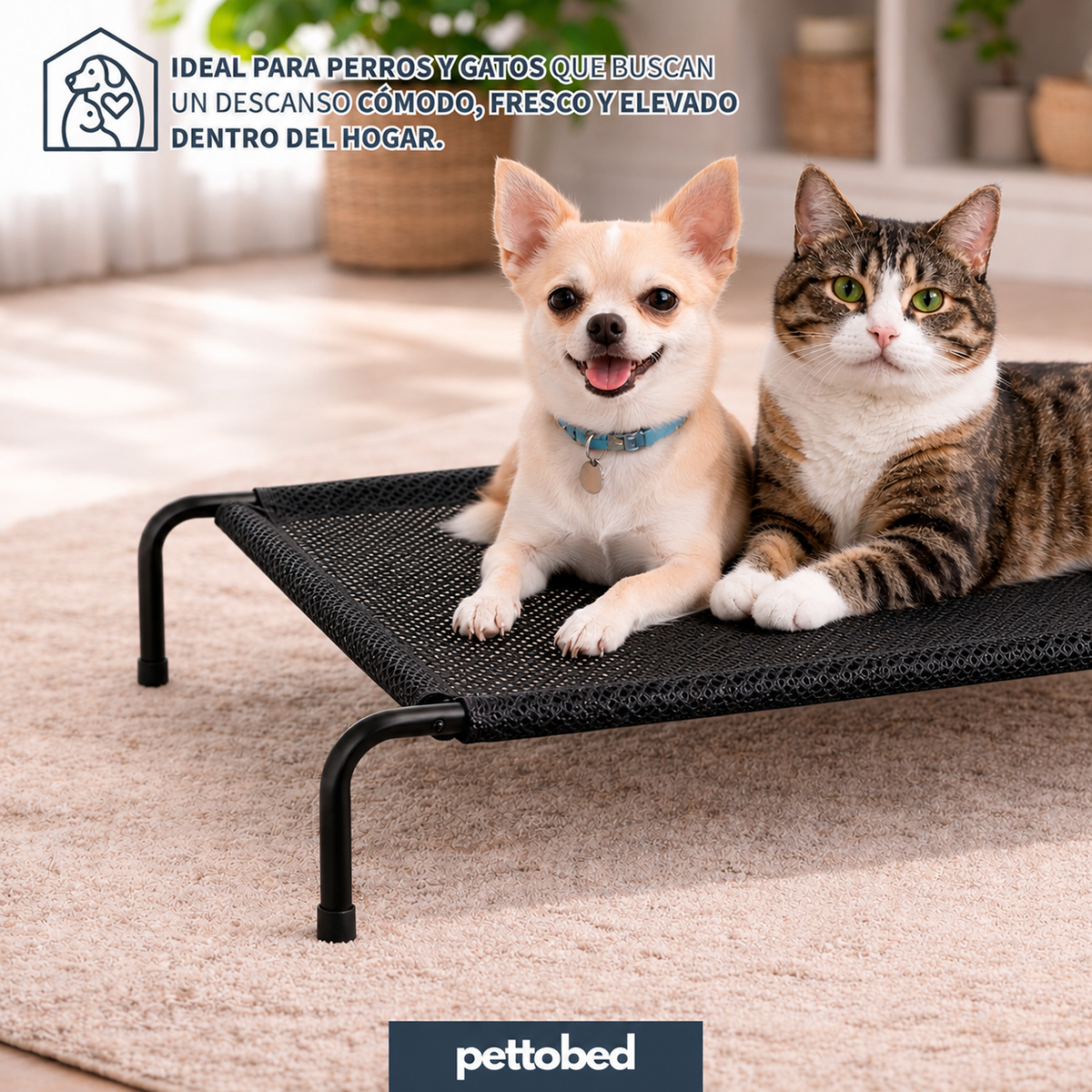 Cama Elevada para Mascotas