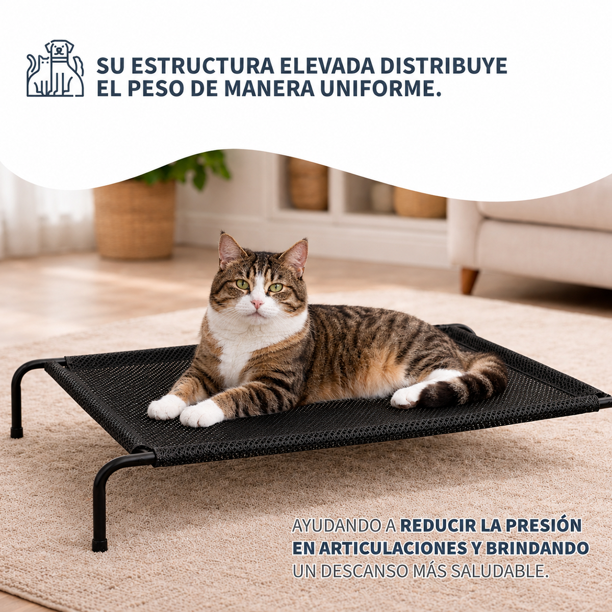 Cama Elevada para Mascotas