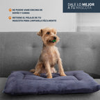 Cama para Mascotas Soft