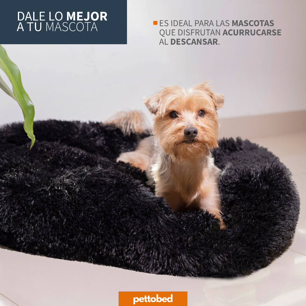 Cama Antiestres | Negro