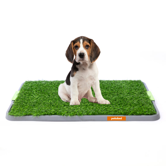 Tapete de Entrenamiento para Perro Doggie Grass con Regilla Anti Humedad Fácil Lavado Baño para Mascotas (69 x 44 cm)
