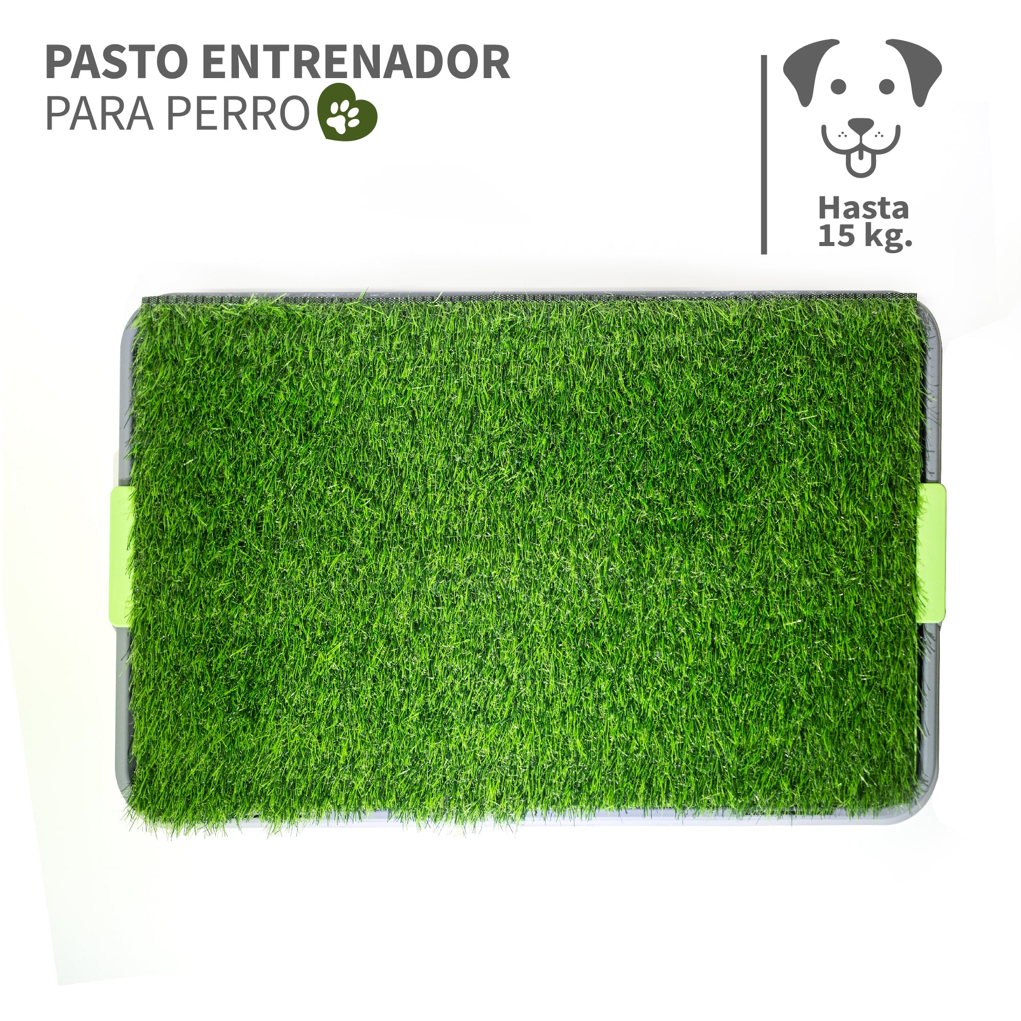 Tapete de Entrenamiento para Perro