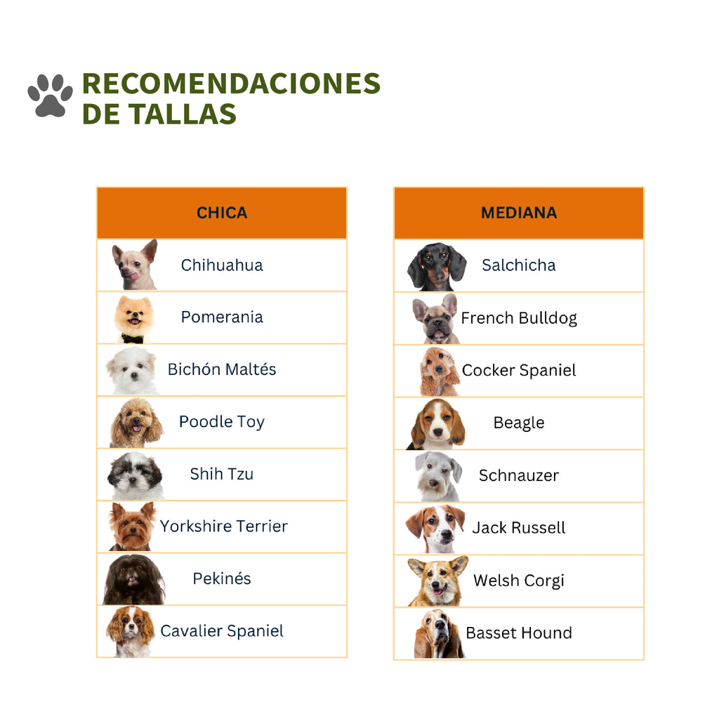 Tapete de Entrenamiento para Perro