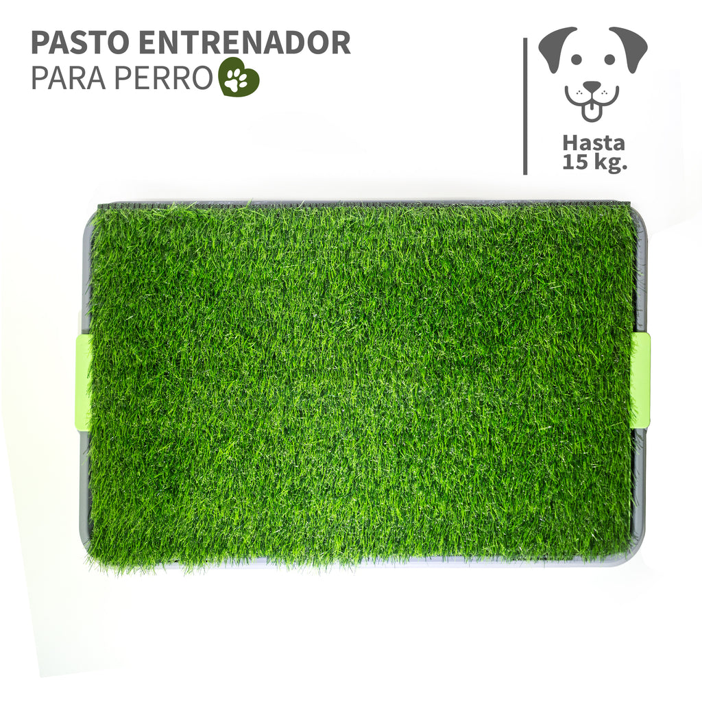 Tapete de Entrenamiento Mascotas