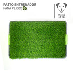Tapete de Entrenamiento Mascotas