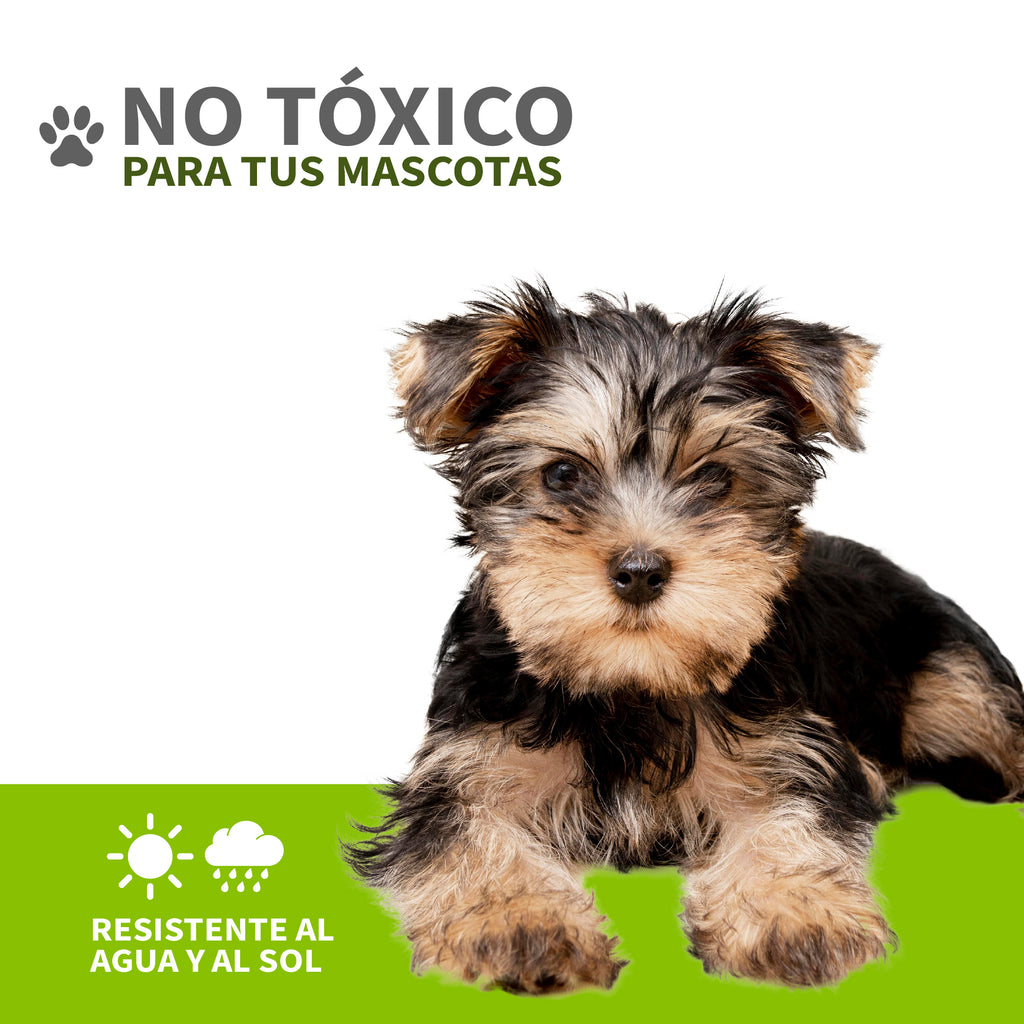 Tapete de Entrenamiento Mascotas